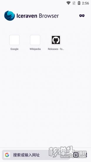 Iceraven浏览器官网版